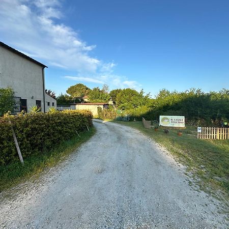 - Il Casale Toscano - 1900Mt From Leaning Tower - No Breakfast - No Air Conditioning - Free Parking - Self Check-In Only From June 15Th Pisa Ngoại thất bức ảnh
